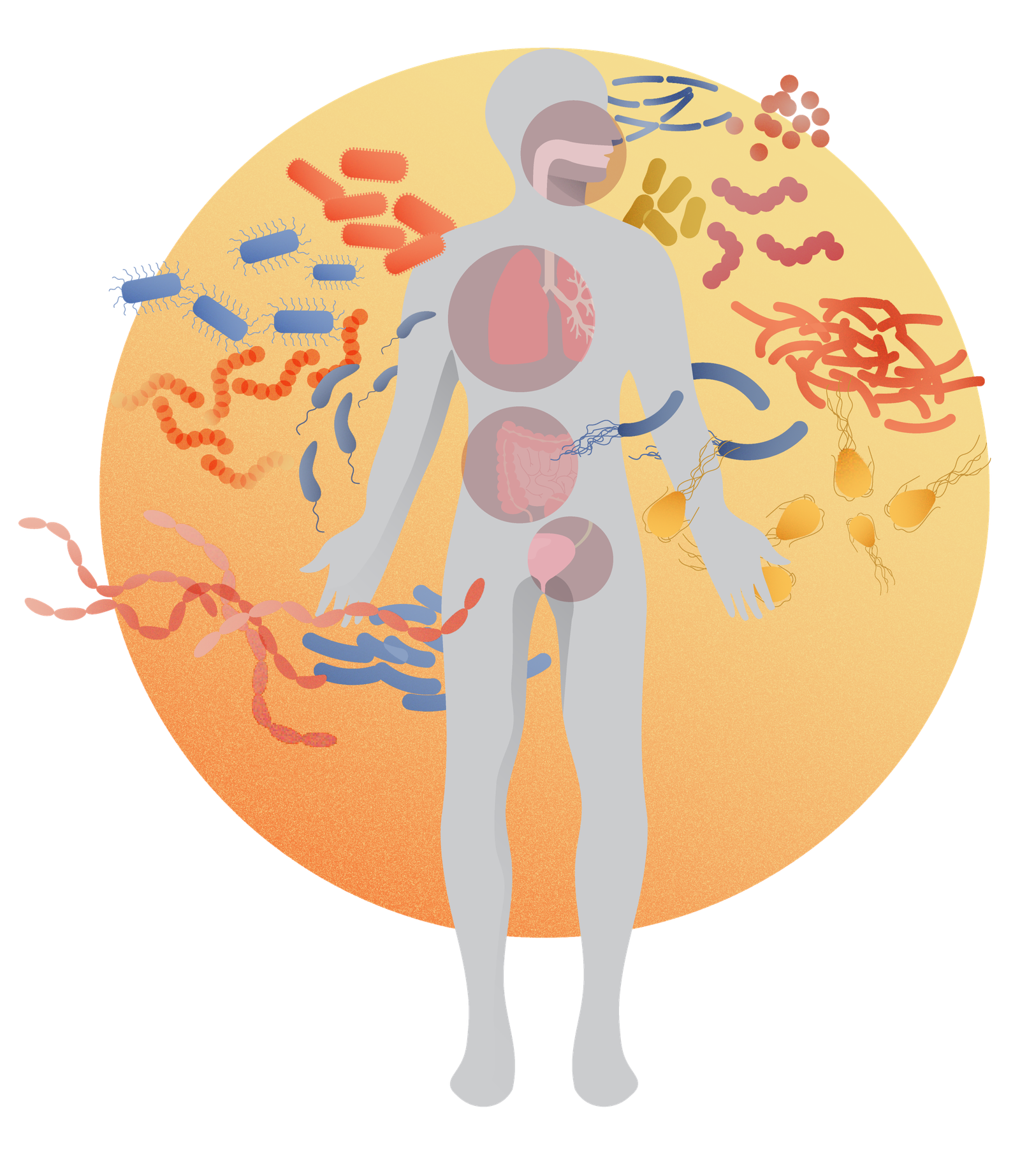 Role of the microbiome in health and disease