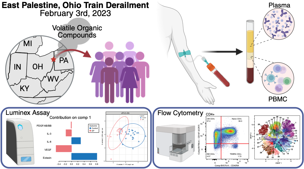 Characterizing immune perturbations in peripheral blood following the East Palestine, Ohio train derailment